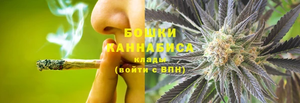 первитин Новозыбков