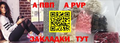 spice Гатчина