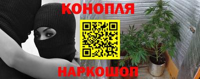 наркотики Гай