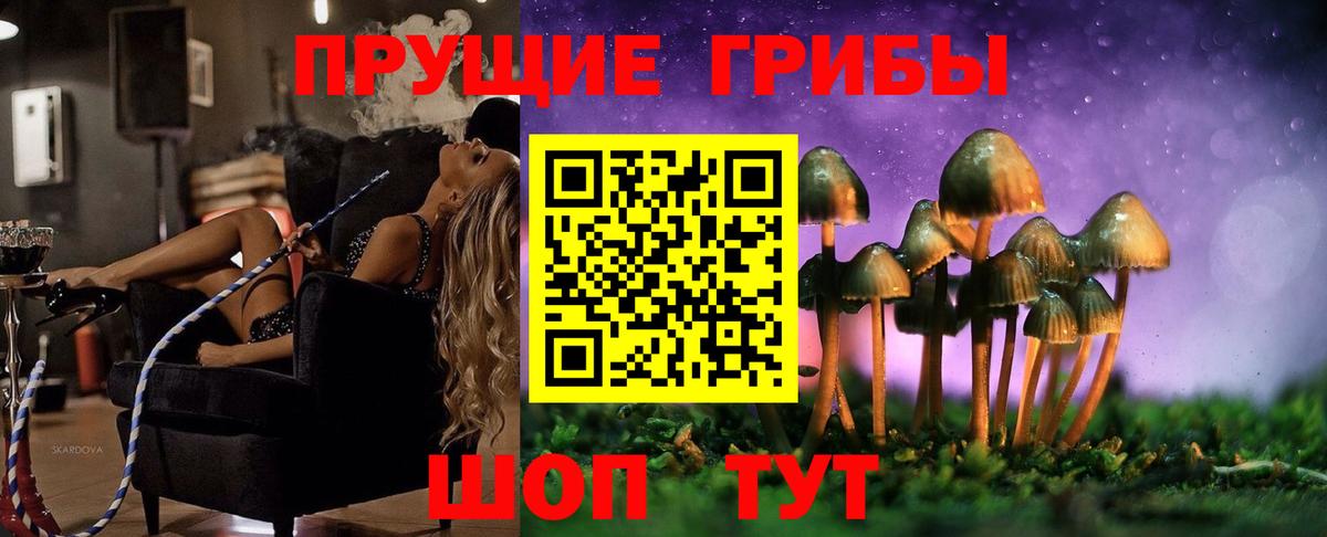 Псилоцибиновые грибы Psilocybine cubensis  Вход с VPN  закладки  Костомукша  Псилоцибиновые грибы Cubensis 