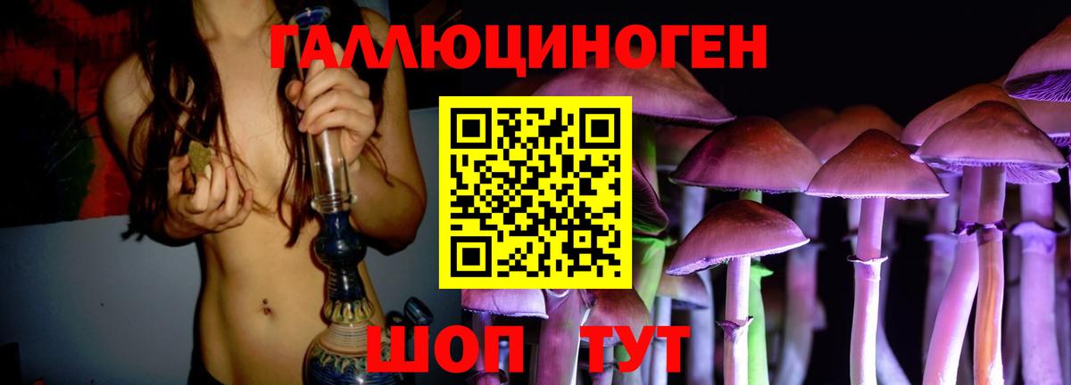 Галлюциногенные грибы мухоморы Костомукша